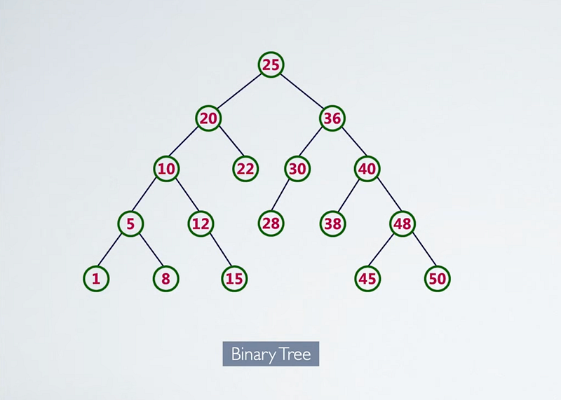 Illustration for “Introduction to the Tree Data Structure in JavaScript”