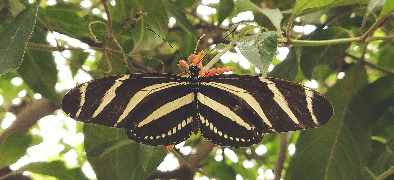 Photo by Milan De Clercq on Unsplash